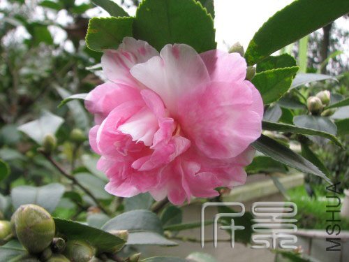 ���Ѻ�֮��