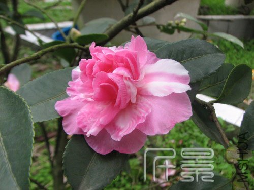 ���Ѻ�֮��