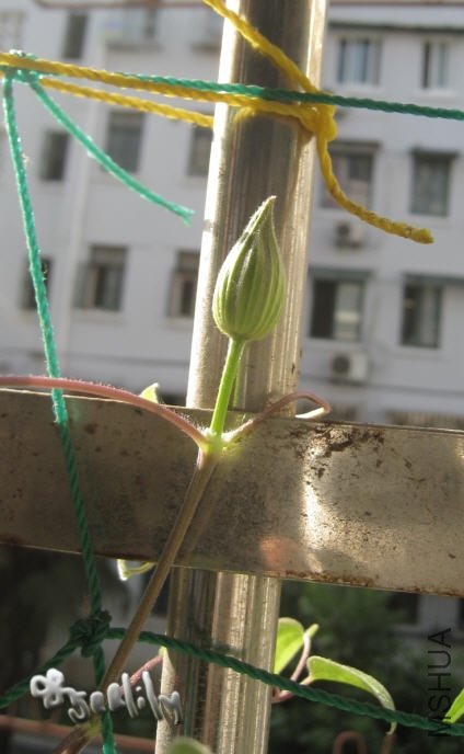 2009-10-21 �����Ļ���-do.jpg