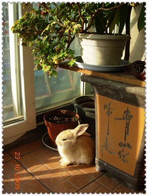 ������С DSCN5974_��Ӱ_1.jpg