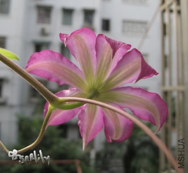 2009-10-23 �����Ŀ���-do.jpg