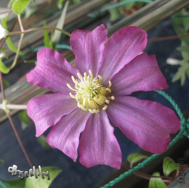 2009-10-23 ������-����-do.jpg