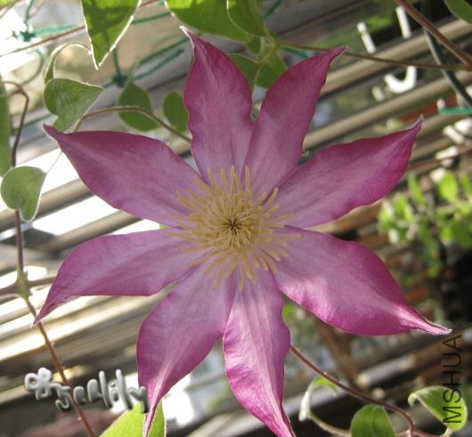 2009-10-25 ������-do.jpg