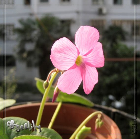 2009-10-25 ���-do.jpg