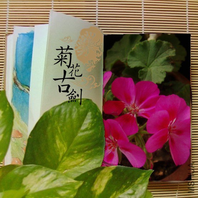 ����11 894.jpg