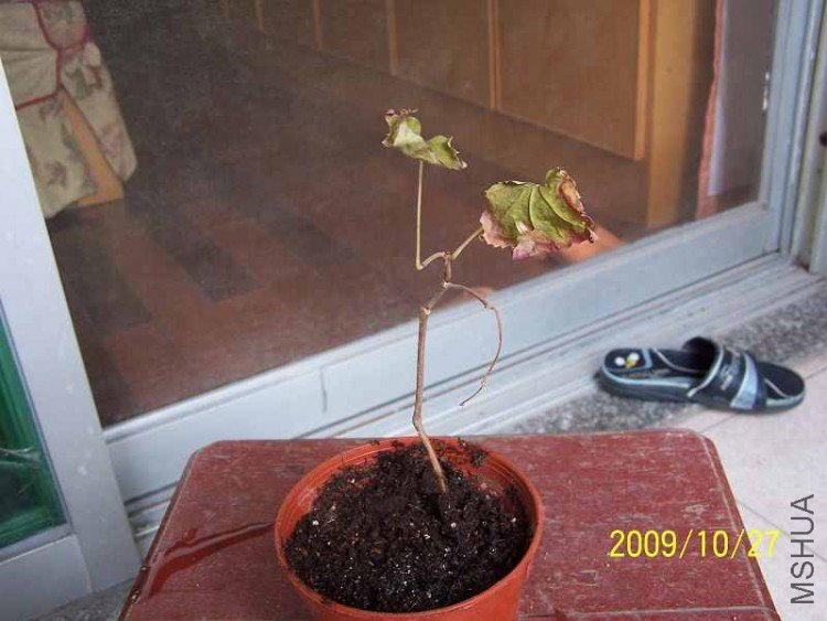 100_0377.jpg