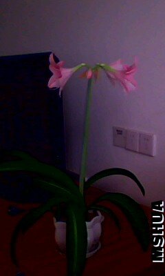 IMG0032A.jpg.jpg