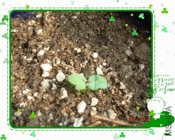 ������С DSCN6074_��Ӱ_1.jpg