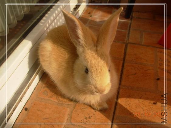 ������С DSCN6075_��Ӱ_1.jpg