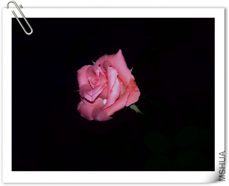 200909061435.jpg