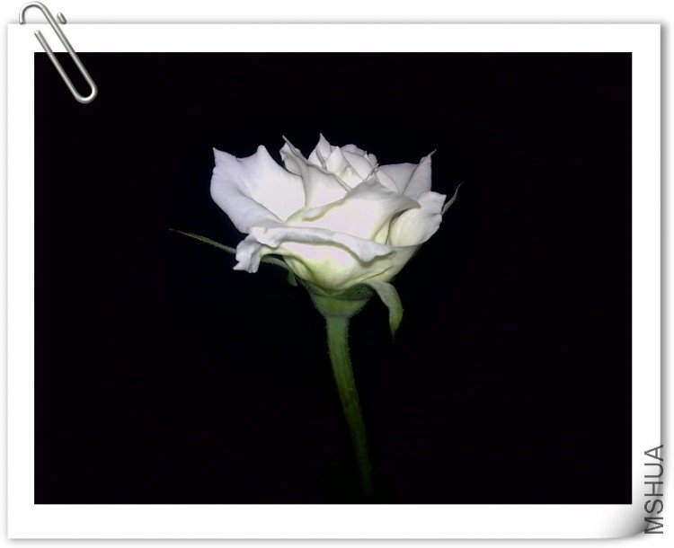 200909051379.jpg