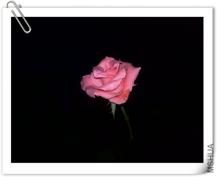 200909061449.jpg