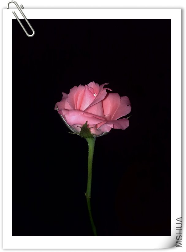 200909061508.jpg
