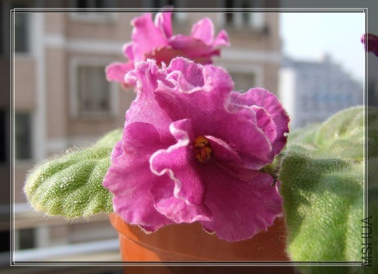 ˮ��֮��