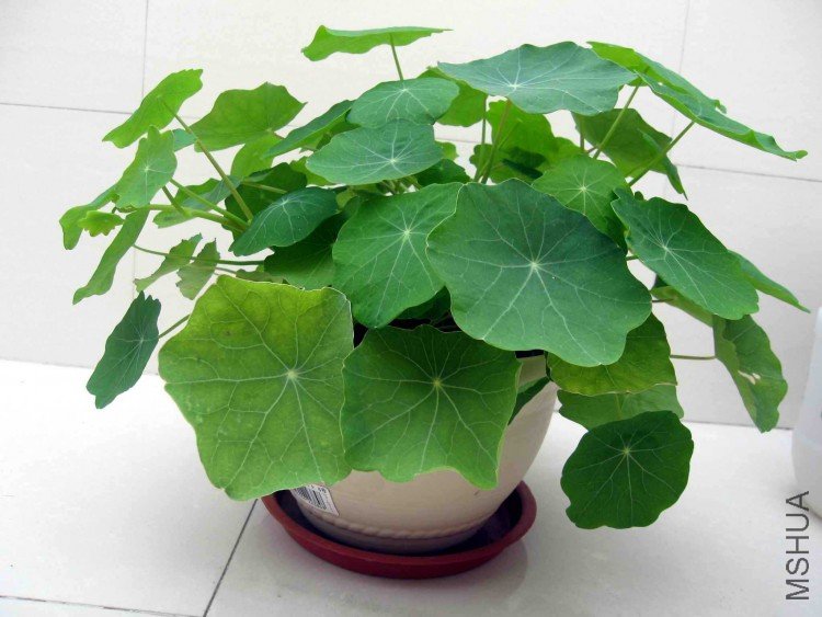 ������Ҳ�ÿ�