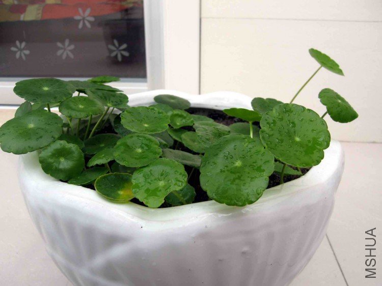 ˮ�಻�е�Ǯ�������治����