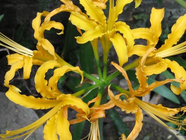 ������С ��Ƭ 029.jpg