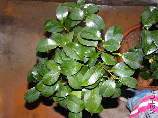 DSCF4834.JPG