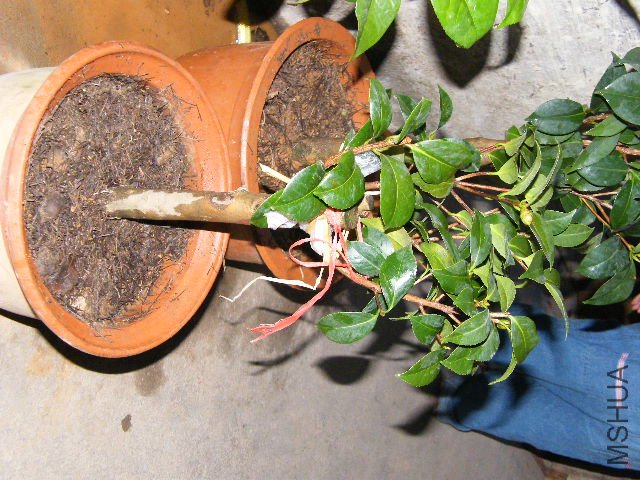 DSCF4833.JPG