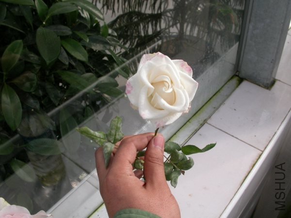 DSCN9748.JPG