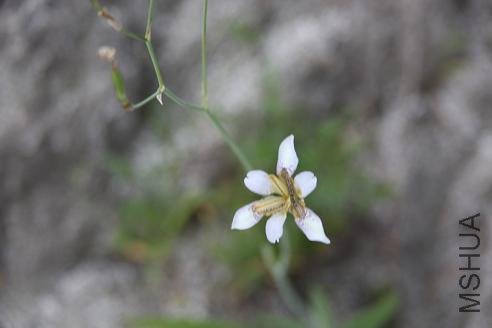 p0051��2�� 321.jpg