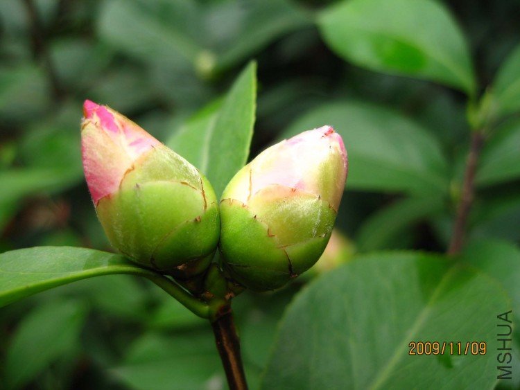 ���� 09-11-9 (1).jpg