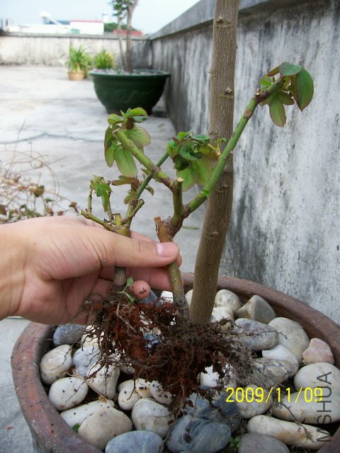 100_1112.jpg