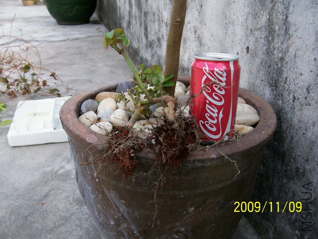 100_1114.jpg