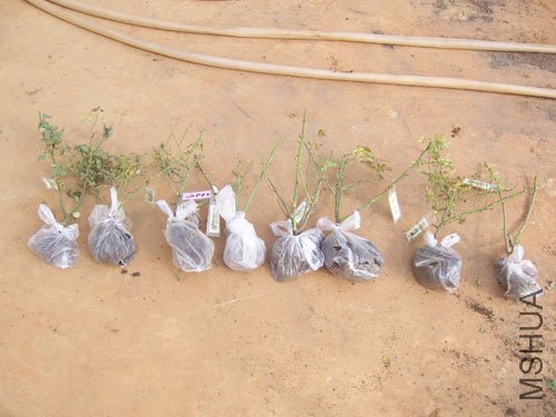 �°ܵ���¶�ҵ��¼�