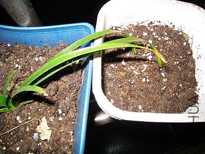 nEO_IMG_IMG_0488.jpg
