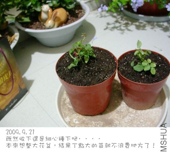 20090922_8cd8313e036d6a0c5ac2nCjGa4afnEOV.jpg