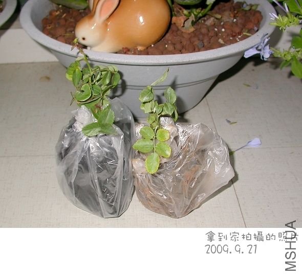 20090922_99004ff4d5167b7600a5do9ae7PPajK7.jpg