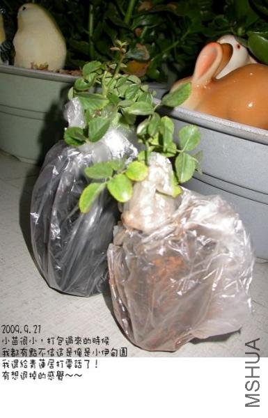 20090922_6aaf8f11d805a9d44294jhUEtGRWyyE6.jpg.thumb.jpg