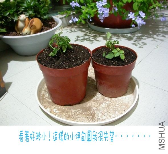 20090922_cd9844bb660fef1db33fftOqOSuujOUu.jpg