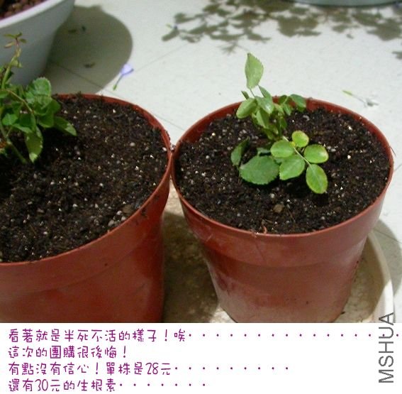 20090922_4465d191973d86ff8c1fOaX28luyUPaE.jpg