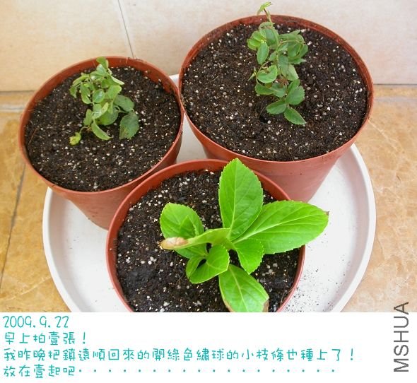 20090922_ff79725fb0ce48dff67e3yurtcbuHJUO.jpg