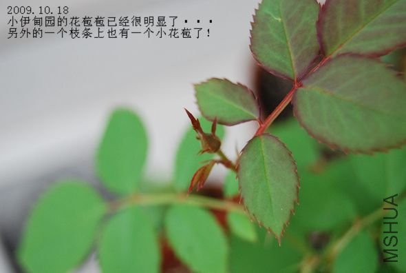 20091021_437f6c13dfc21a1537a8IMVjk30XzEWx.jpg