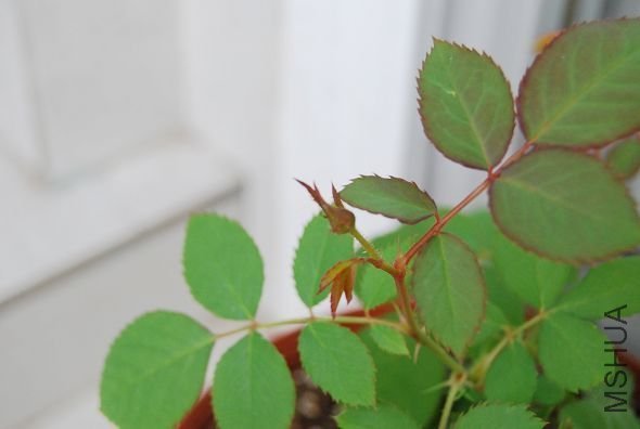 20091021_f5f090bd4c46dfe3bcfcBOlNwvwMfYsE.jpg