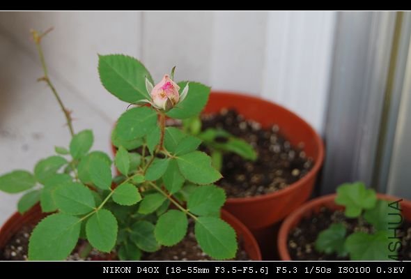 20091106_edc97c37ecf85d10196dA0q133wKSQk0.jpg