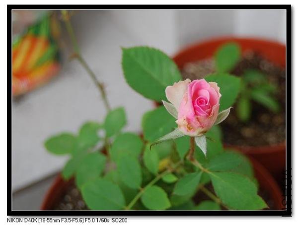 20091109_6c3449db13a73fa9ca85GlxFZ9Bun1Mm.jpg.thumb.jpg