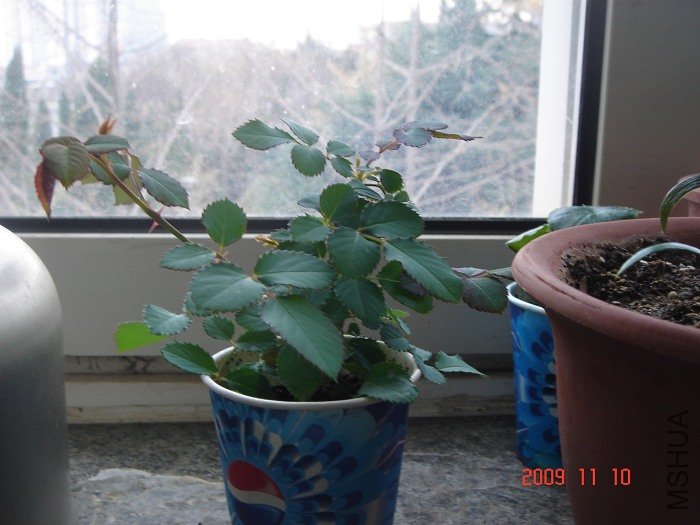 nEO_IMG_DSC02121.jpg