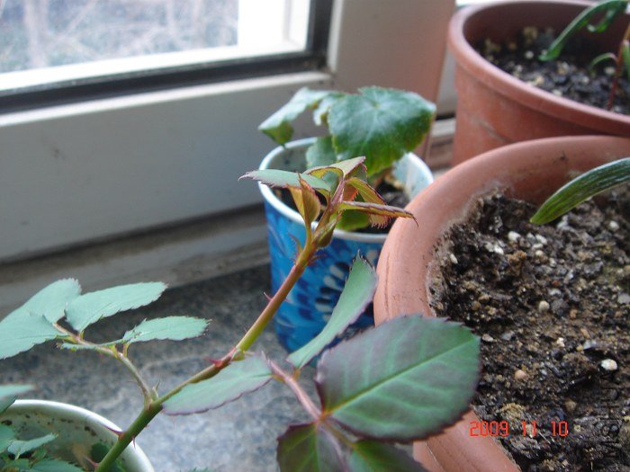 nEO_IMG_DSC02120.jpg