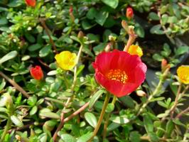 DSCN7460.JPG