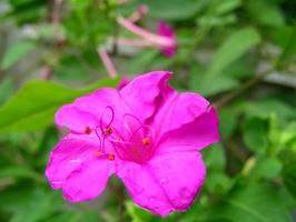 DSCN7279.JPG