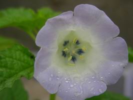DSCN6873.JPG