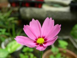 DSCN6902.JPG