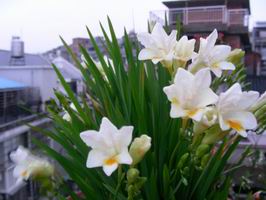 DSCN6012.JPG