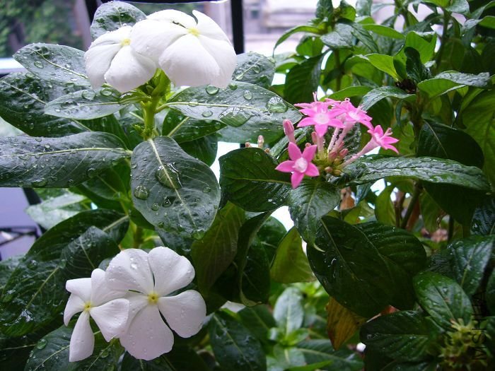 ��Ƭ09 50171.jpg