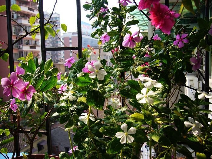 ��Ƭ09 50191.jpg