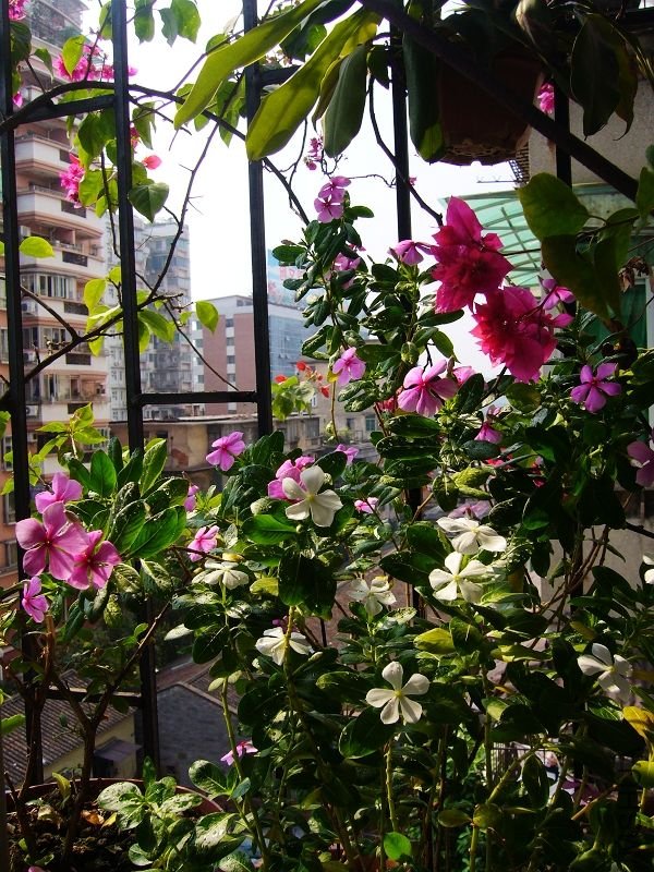 ��Ƭ09 50193.jpg